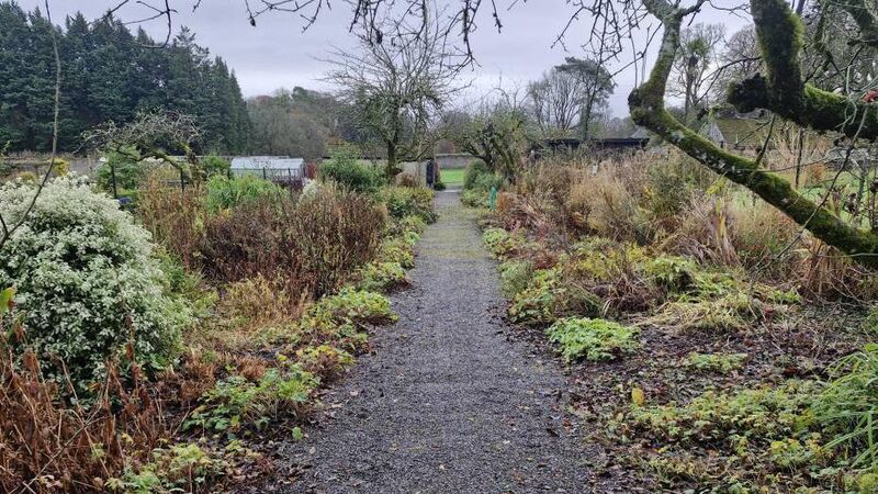 In the garden: A fine garden that is well worth a visit 