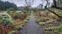 In the garden: A fine garden that is well worth a visit 
