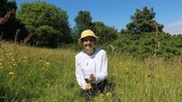 Cork activist says a 'radical shift' is needed in how we live to protect the environment 