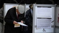 European and local elections