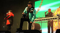 Electric Picnic Festival