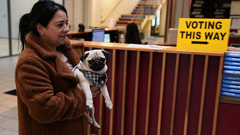 In Pictures: Voters and a pug cast their ballots in the general election In Pictures: Voters and a pug cast their ballots in the general election