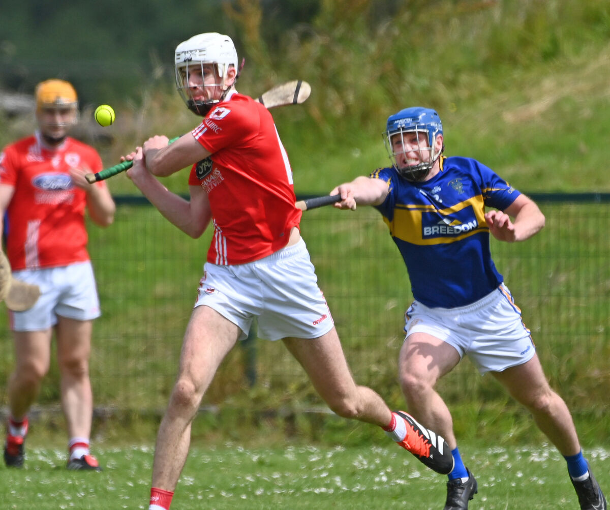 Charleville's Tim Hawe. Picture: Eddie O'Hare