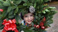 Lord Mayor of Cork visits festive farm to select Christmas trees for local charities