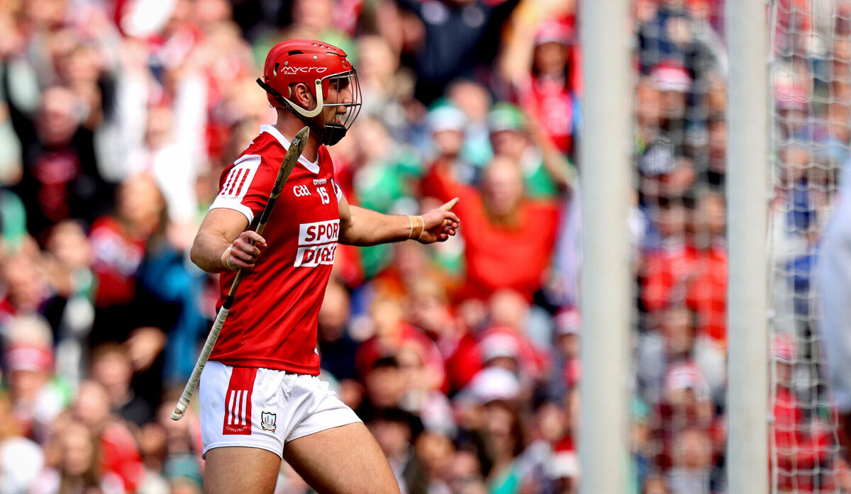 Cork’s Brian Hayes celebrates scoring the first goal of the game against Limerick. Picture: ©INPHO/Ryan Byrne