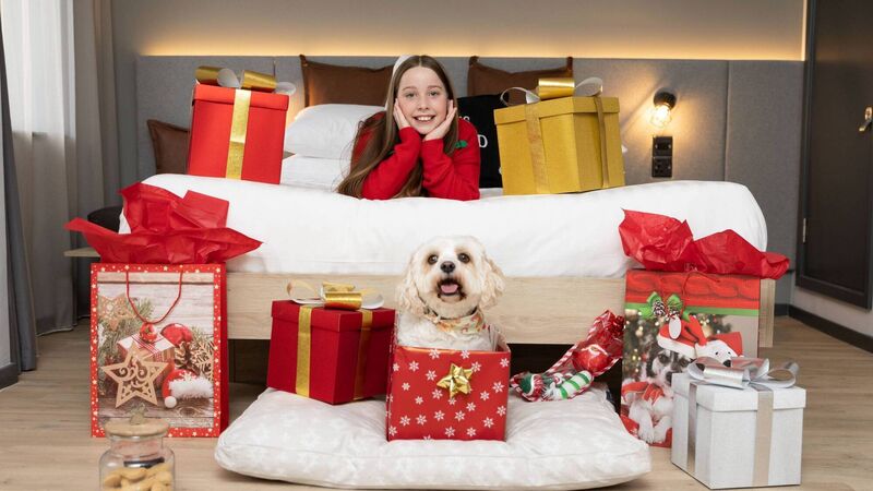 Have a pet-friendly stay at the Moxy Hotel at Cork city centre Have a pet-friendly stay at the Moxy Hotel at Cork city centre