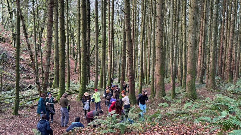 Solace: New community culture festival to light up Cork this December 