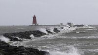 Windy weather