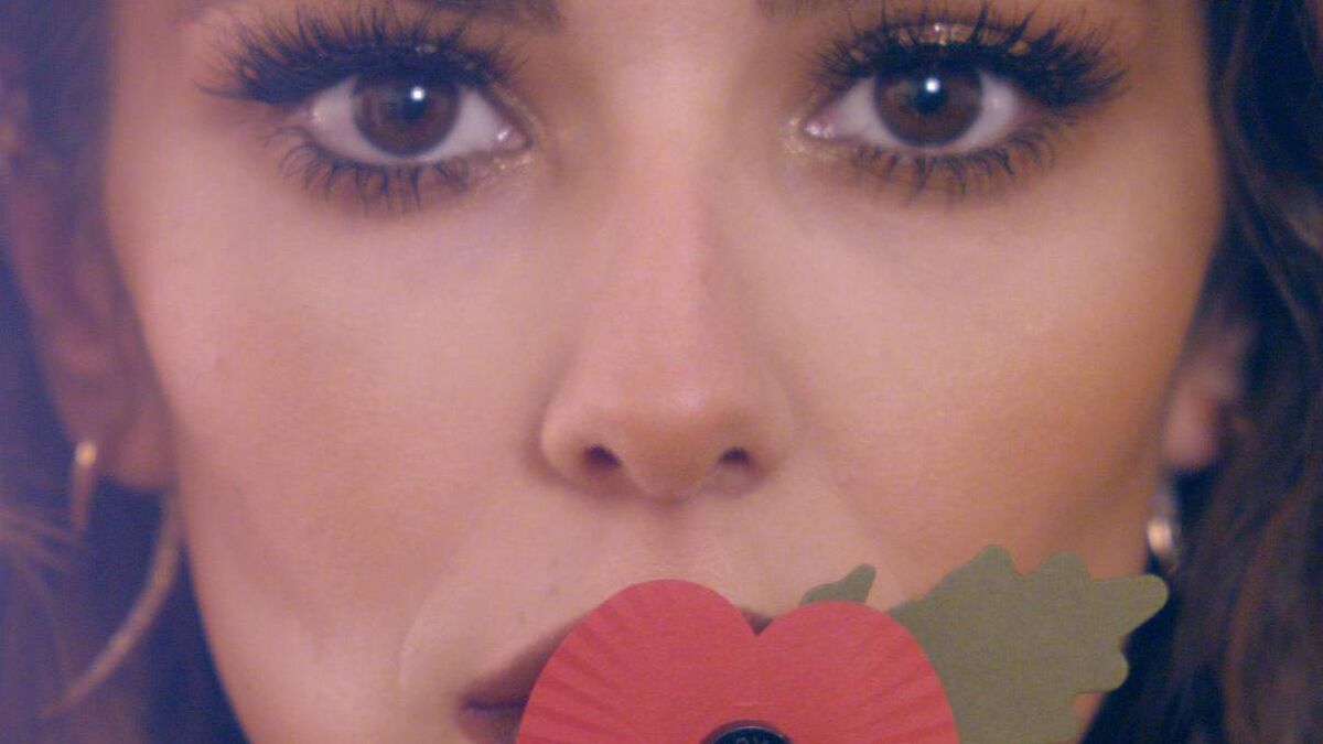 An annual war of words... so who is right in poppy debate?