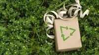 Sustainable Environmental gift