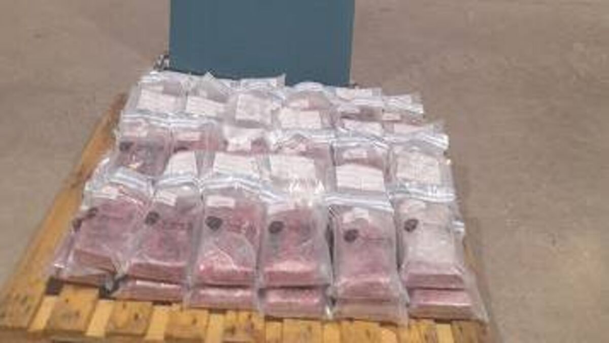 Multi million euro haul of cocaine found amongst banana shipment at ...