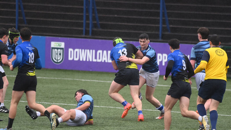 Hammies' Senior Cup progress has put them on schools rugby map Hammies' Senior Cup progress has put them on schools rugby map