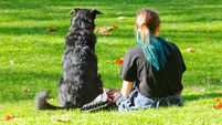Girl and the dog resting on the grass