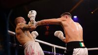 Cork boxer Cathal Crowley wins sixth professional fight to end year unbeaten
