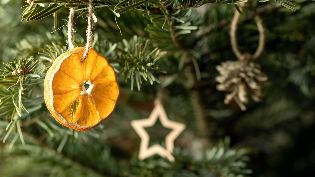 Cork Homes: Simple ways to fill your home with festive scents 