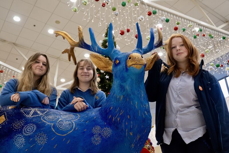 Robyn Carroll, Rugile Abmorseva and Amy Strode, transition year student from Christ King school pictured in Douglas Court Shopping Centre with the reindeer they created. Robyn Carroll, Rugile Abmorseva and Amy Strode, transition year student from Christ King school pictured in Douglas Court Shopping Centre with the reindeer they created.