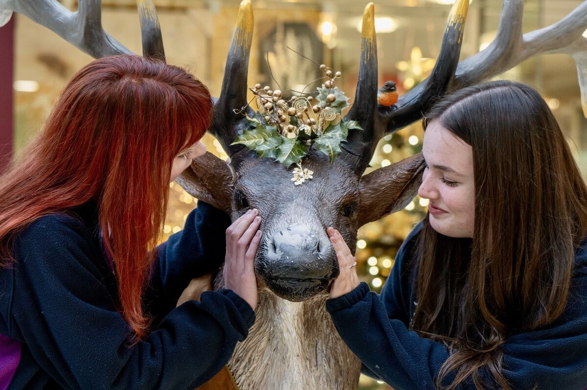 Ella-Jane Stephens and Cadhla Cahill Murphy both 16 from transition year in Regina Mundi College pictured in Douglas Court Shopping Centre. Ella-Jane Stephens and Cadhla Cahill Murphy both 16 from transition year in Regina Mundi College pictured in Douglas Court Shopping Centre.