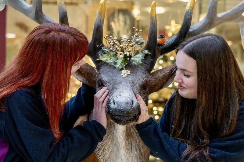Ella-Jane Stephens and Cadhla Cahill Murphy both 16 from transition year in Regina Mundi College pictured in Douglas Court Shopping Centre. Ella-Jane Stephens and Cadhla Cahill Murphy both 16 from transition year in Regina Mundi College pictured in Douglas Court Shopping Centre.