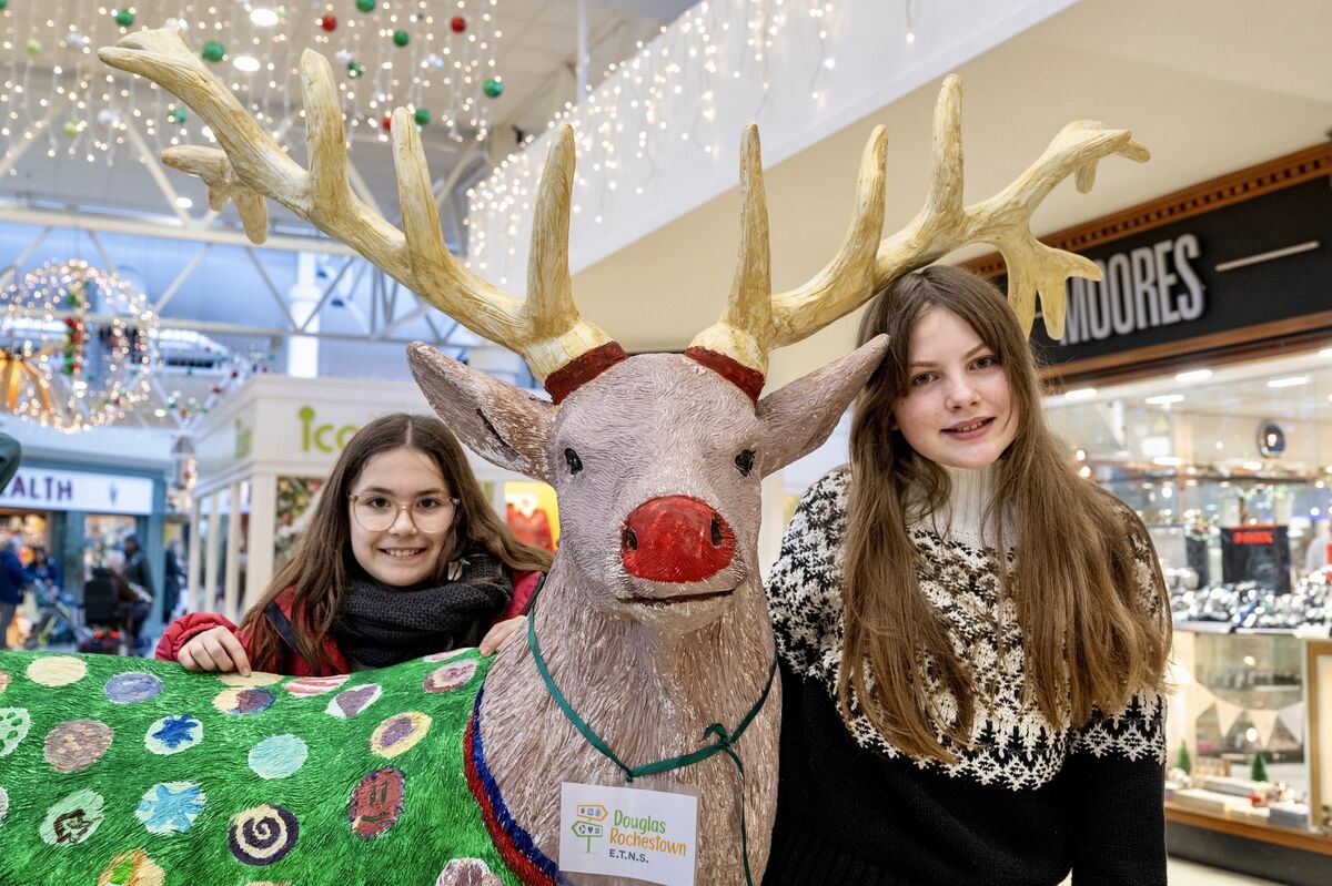 Alix and Sarah from Rochestown Douglas ETNS pictured in Douglas Court Shopping Centre. Alix and Sarah from Rochestown Douglas ETNS pictured in Douglas Court Shopping Centre.