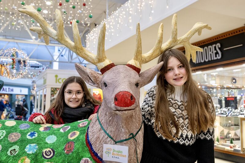 Alix and Sarah from Rochestown Douglas ETNS pictured in Douglas Court Shopping Centre. Alix and Sarah from Rochestown Douglas ETNS pictured in Douglas Court Shopping Centre.