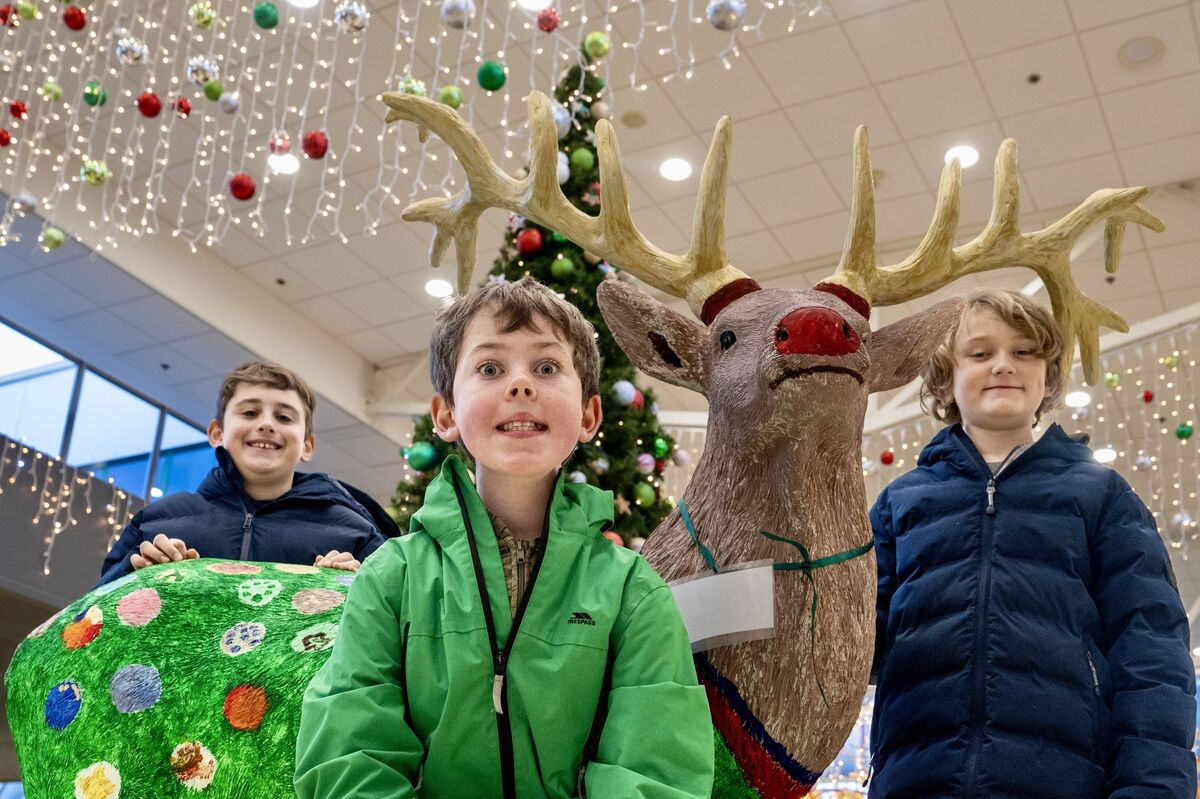 Alejandro Carmona Zwiner, 10, Jack O’Donoghue 10 and Calvin Gleeson 10 from Rochestown Douglas ETNS pictured in Douglas Court Shopping Centre with the reindeer they helped to decorate. Alejandro Carmona Zwiner, 10, Jack O’Donoghue 10 and Calvin Gleeson 10 from Rochestown Douglas ETNS pictured in Douglas Court Shopping Centre with the reindeer they helped to decorate.