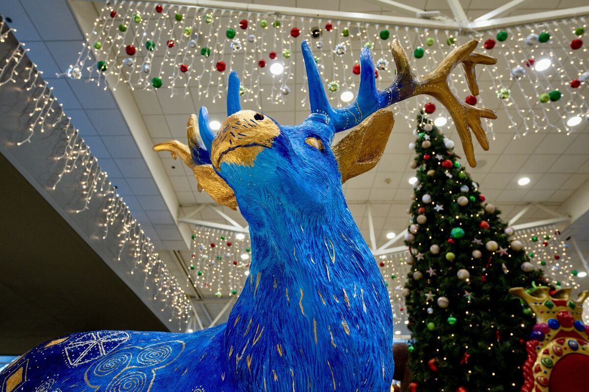 A collection of hand-decorated, lifesize reindeer, created by local schools is currently on display in Douglas Court Shopping Centre, just one of the shopping centre's ongoing community initiatives. All pictures: Chani Anderson A collection of hand-decorated, lifesize reindeer, created by local schools is currently on display in Douglas Court Shopping Centre, just one of the shopping centre's ongoing community initiatives. All pictures: Chani Anderson