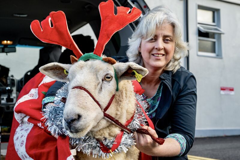  Lilian Gash arrives at the Kinsale Community hospital with her pet sheep, Shauna, who visits the residents there every year to deliver some Christmas cheer. Picture: Chani Anderson
