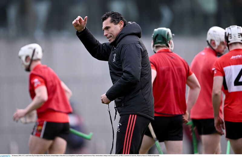UCC coach Seán Óg Ó hAilpín before the Electric Ireland Fitzgibbon Cup game between Mary Immaculate College and UCC last year. Picture: Piaras Ó Mídheach/Sportsfile UCC coach Seán Óg Ó hAilpín before the Electric Ireland Fitzgibbon Cup game between Mary Immaculate College and UCC last year. Picture: Piaras Ó Mídheach/Sportsfile