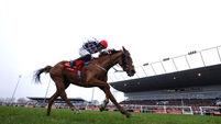 Ladbrokes Christmas Festival - King George VI Chase Day - Kempton Races