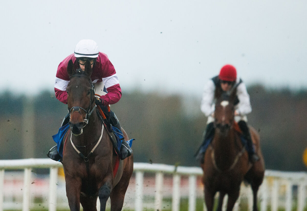 Harry Swan onboard Koktail Brut comes home to win earlier this month. Picture: INPHO/Tom Maher