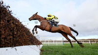 Racing tips: Ser Gino and Ballyburn set for heavyweight clash