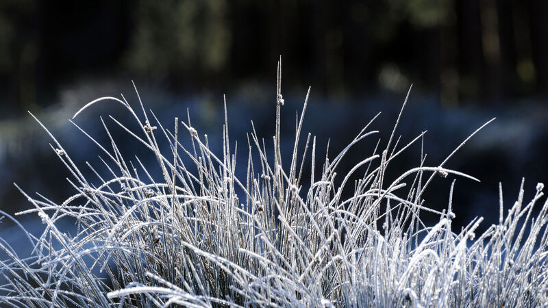 Largely dry and cloudy week ahead, but temperatures to drop in the New Year