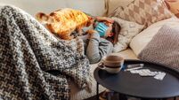 Sick woman having flu or cold. Girl lying in bed with cat wearing protective mask by pills and water on table