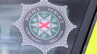 PSNI stock