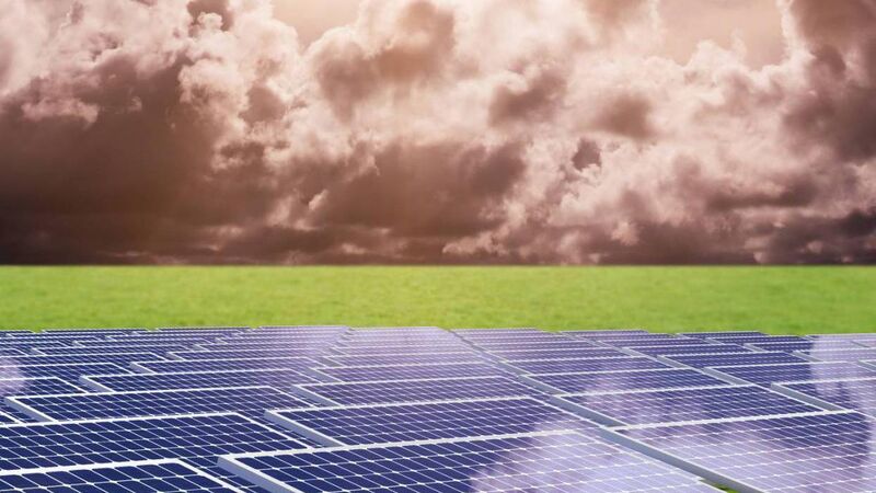 Cork Views: Make 2025 the year YOU start helping to save the planet