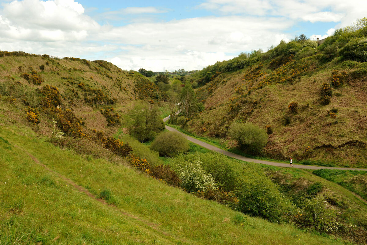 The Glen River Park is a popular walking area and has also become the location of FuaimMná. Pic: Larry Cummins