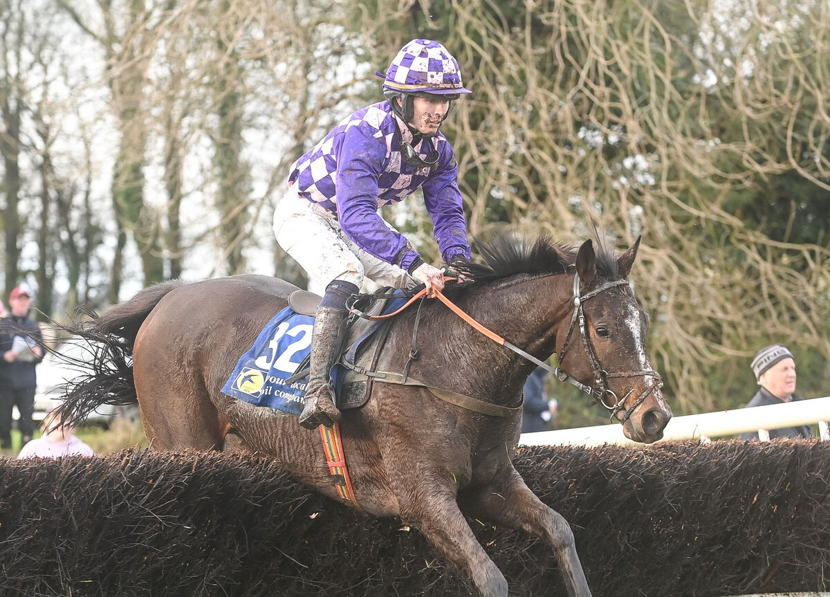 Betteryouthanme and Patrick Gleeson in action during Division 1 of the 4-Y-O Maiden at the United Hunt point-to-point races in Ballindenisk. Betteryouthanme and Patrick Gleeson in action during Division 1 of the 4-Y-O Maiden at the United Hunt point-to-point races in Ballindenisk.