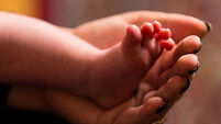 Baby stock