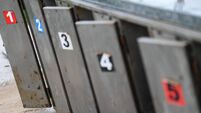 Greyhound Races at Kilcohan Park