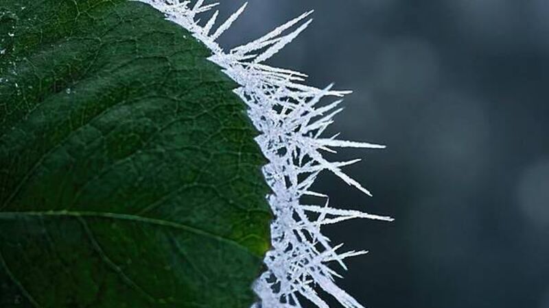 Burst pipes during the cold snap could lead to a €10,000 bill, insurers warn Burst pipes during the cold snap could lead to a €10,000 bill, insurers warn