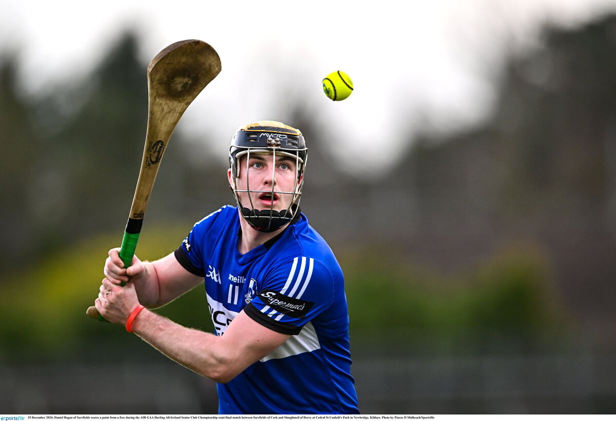 Daniel Hogan of Sarsfields. Picture: Piaras Ó Mídheach/Sportsfile