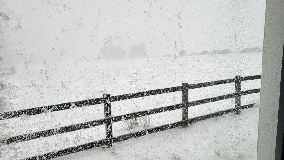 Heavy snowfall in Rylane, Cork this afternoon. Heavy snowfall in Rylane, Cork this afternoon.