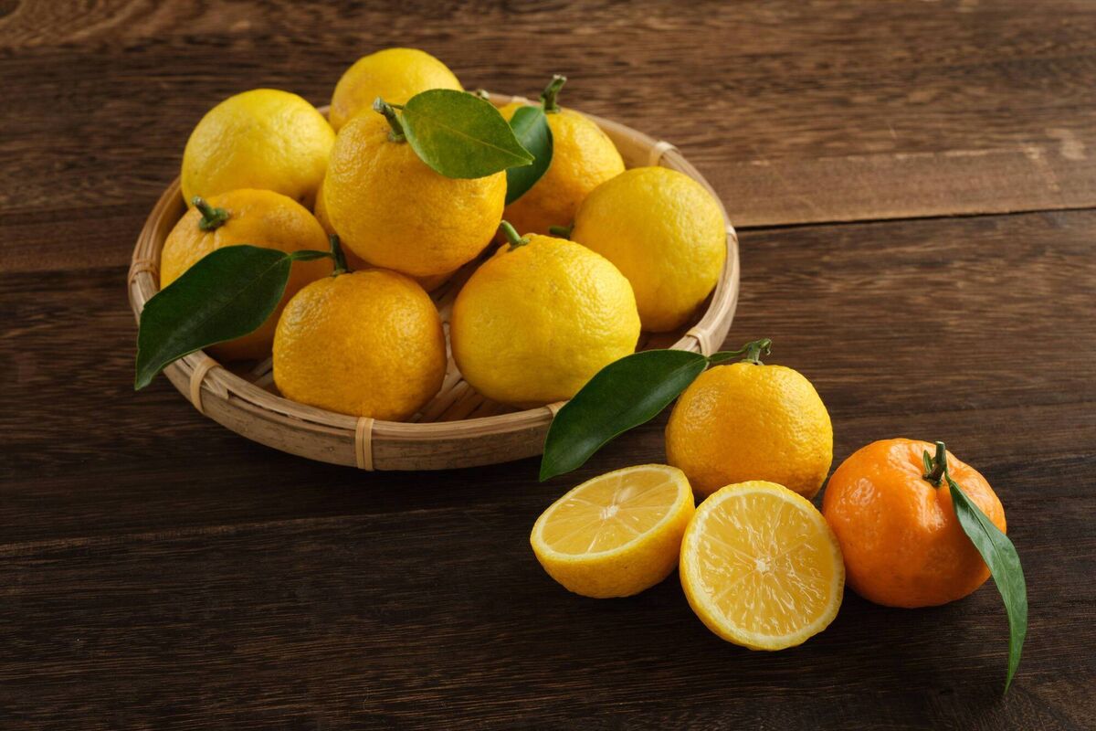 The Japanese yuzu fruit is expected to be one of the flavours to watch next year. The Japanese yuzu fruit is expected to be one of the flavours to watch next year.