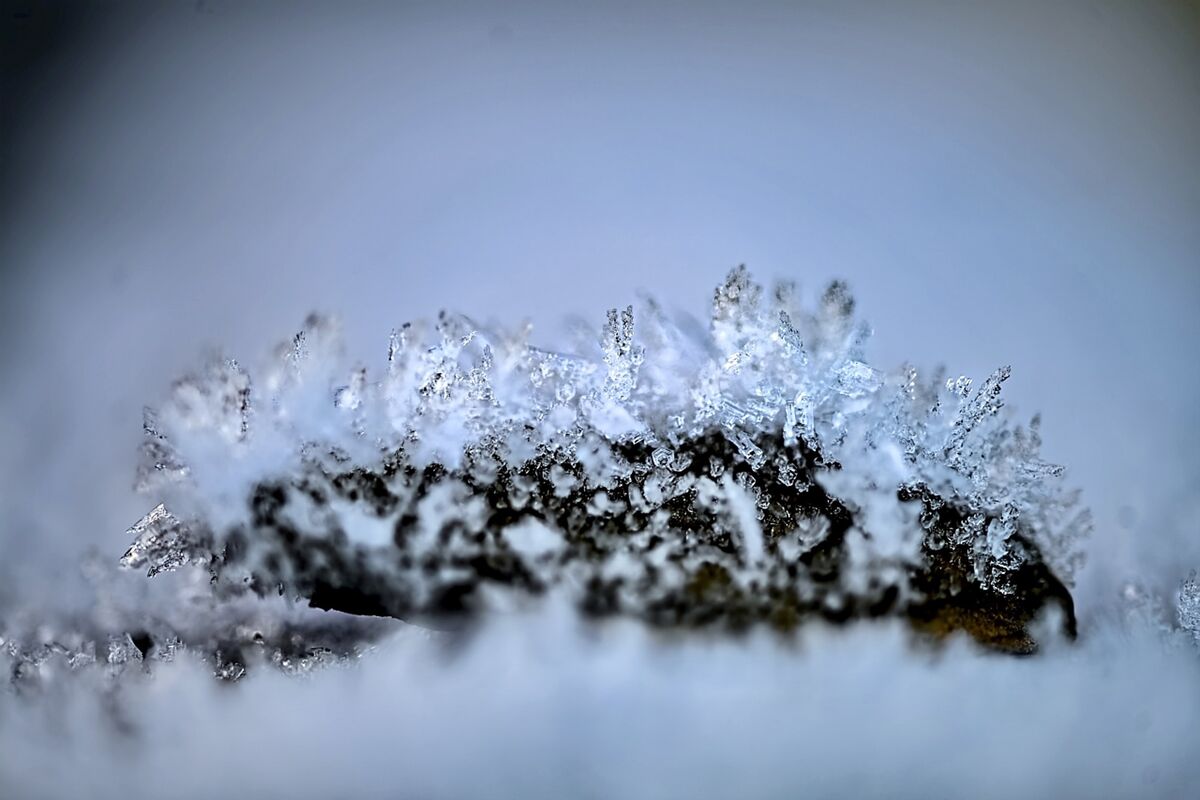 Icicles cling to a rock. picture Chani Anderson Icicles cling to a rock. picture Chani Anderson