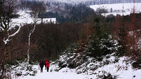 Winter weather Jan 8th 2025