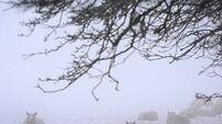 Winter weather Jan 9th 2025