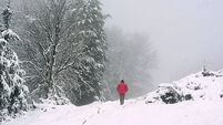 Winter weather Jan 9th 2025