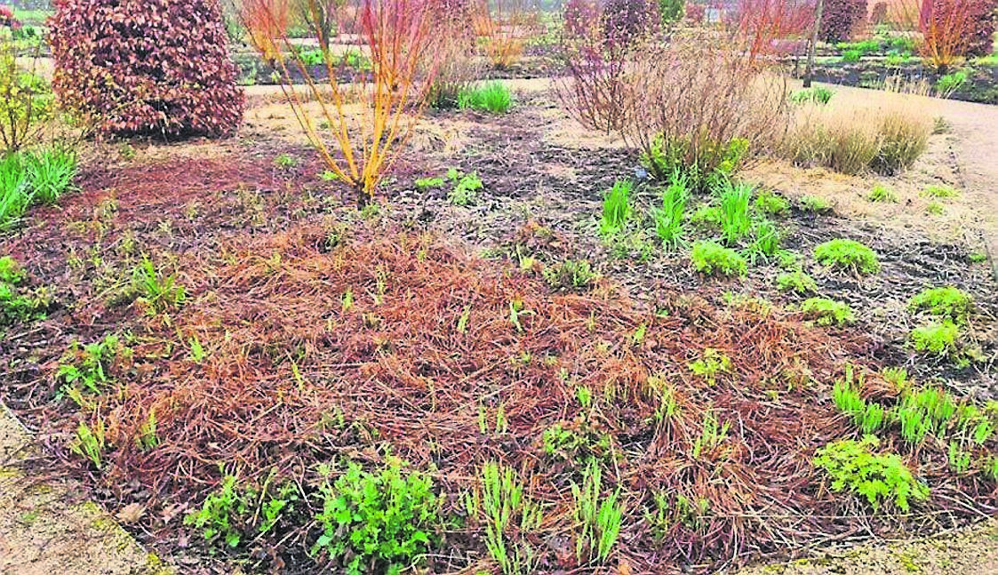 Chop-n-drop being practiced at RHS Garden Bridgewater, in Manchester. Picture: James Hall. Chop-n-drop being practiced at RHS Garden Bridgewater, in Manchester. Picture: James Hall.