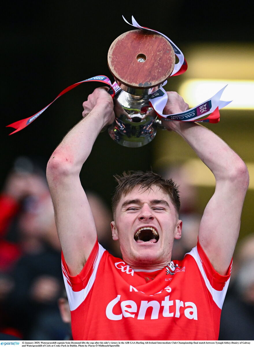 Watergrasshill captain Seán Desmond lifts the cup. Picture: Piaras Ó Mídheach/Sportsfile
