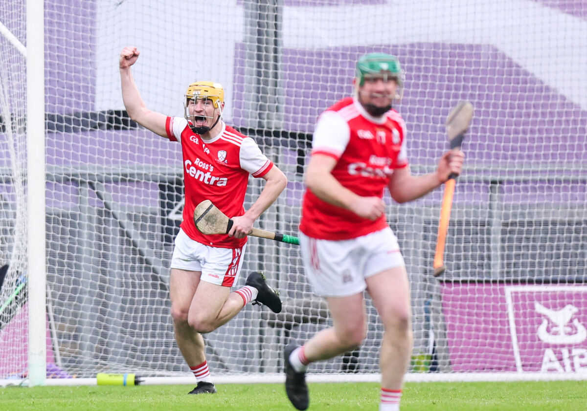 Watergrasshill's Sean Desmond celebrates after scoring the winning goal on Sunday. Picture: INPHO/Tom Maher
